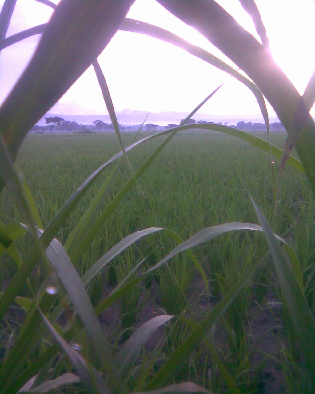 Collections of Mini Photography | Creative Mobile Photography Gallery
