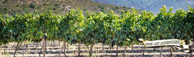 Good red wines picture