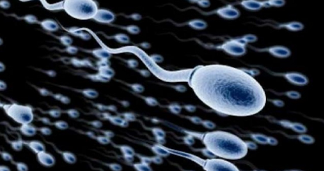 5 Kebiasaan yang Bisa Merusak Kualitas Sperma