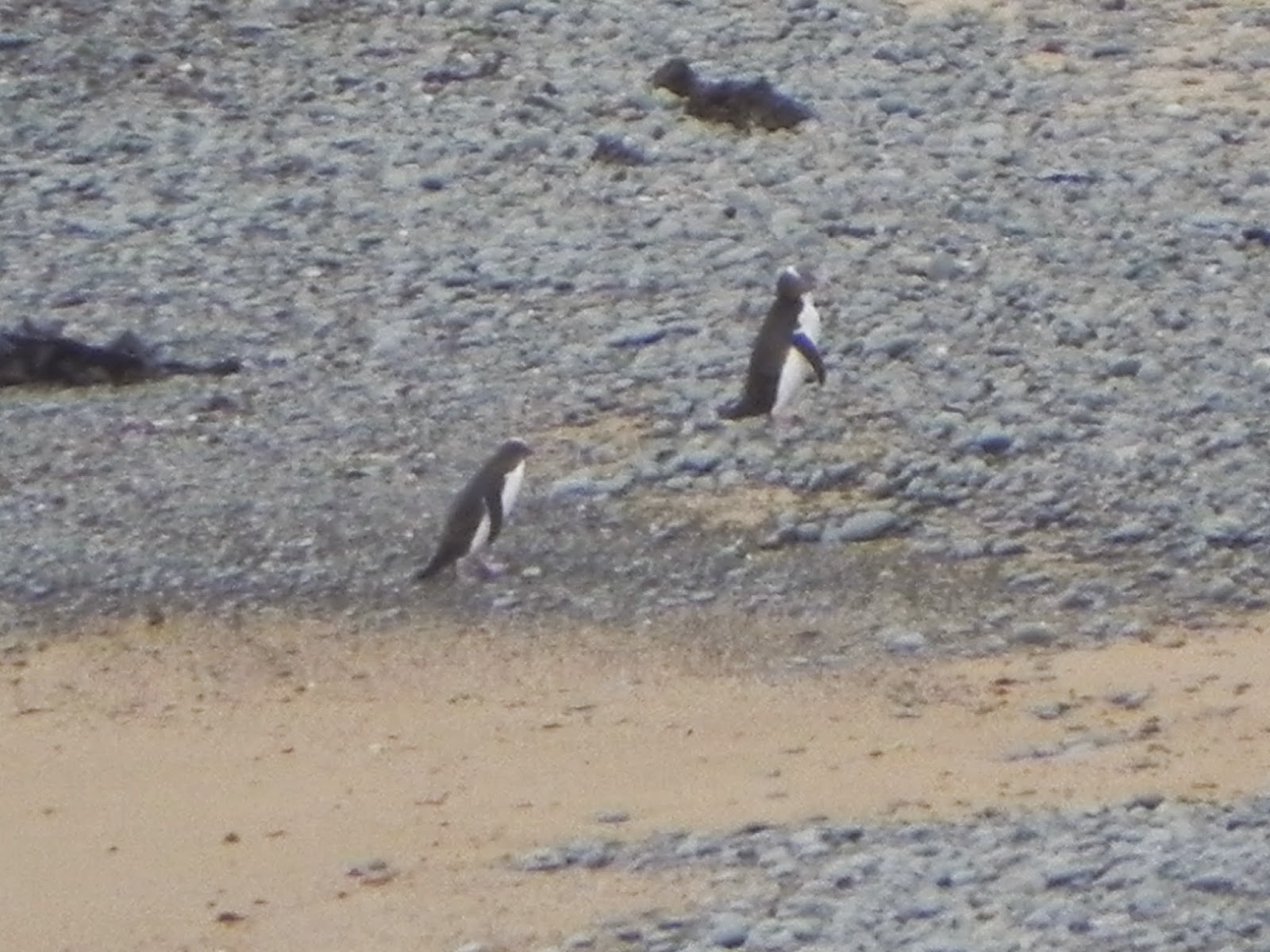 eSCN0020.JPG