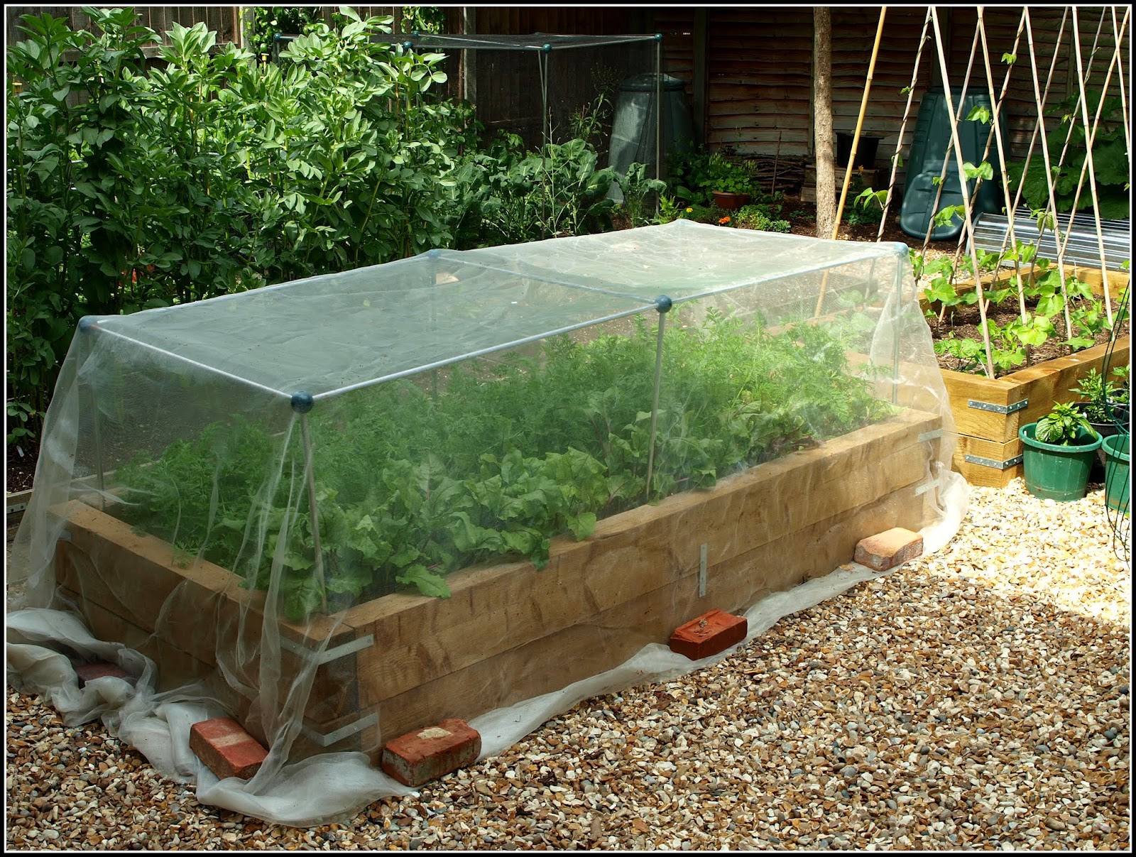 Mark's Veg Plot Raised beds why I like them