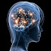 IELTS Essay # 78 - The human mind tries to find complex solutions to the simple problems. To what extent do you agree or disagree?
