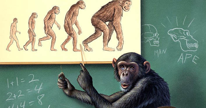 The Monkey Buddha: Reverse Evolution