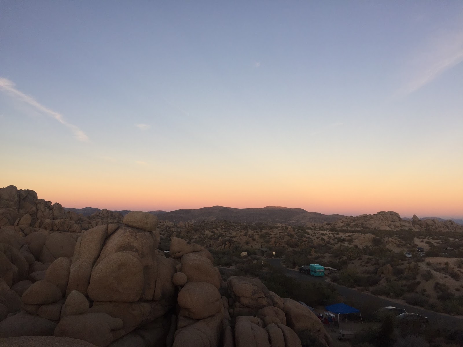 24 Hours in Joshua Tree National Park The Active Habitat
