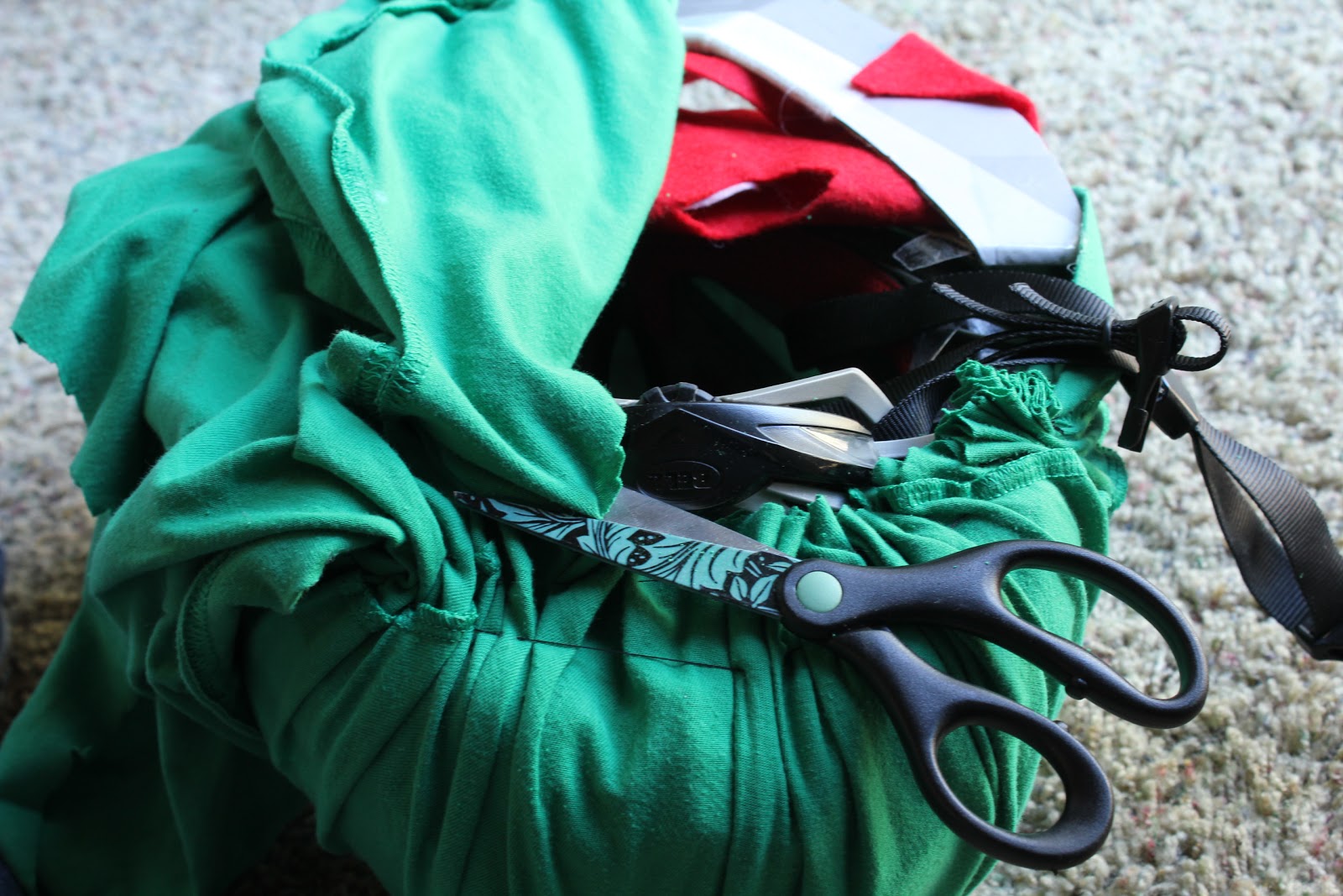 The Wooster Roost Halloween Homemade Kermit Costume