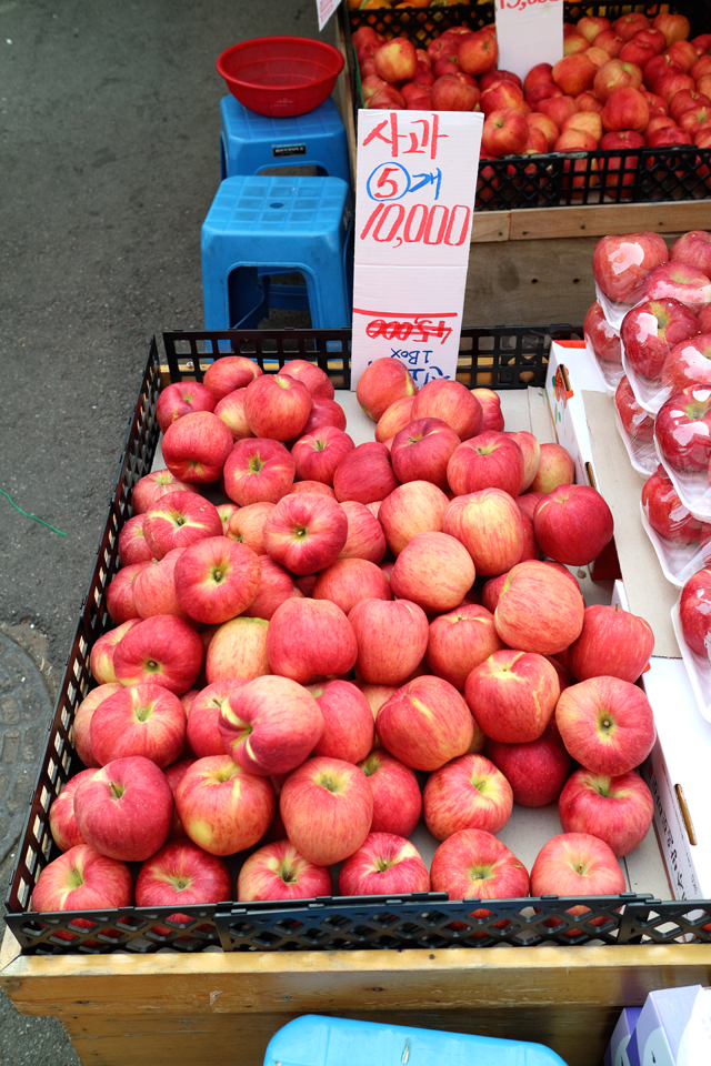 Living in Korea 101 5 MustTry Korean Winter Fruits Festival Korea