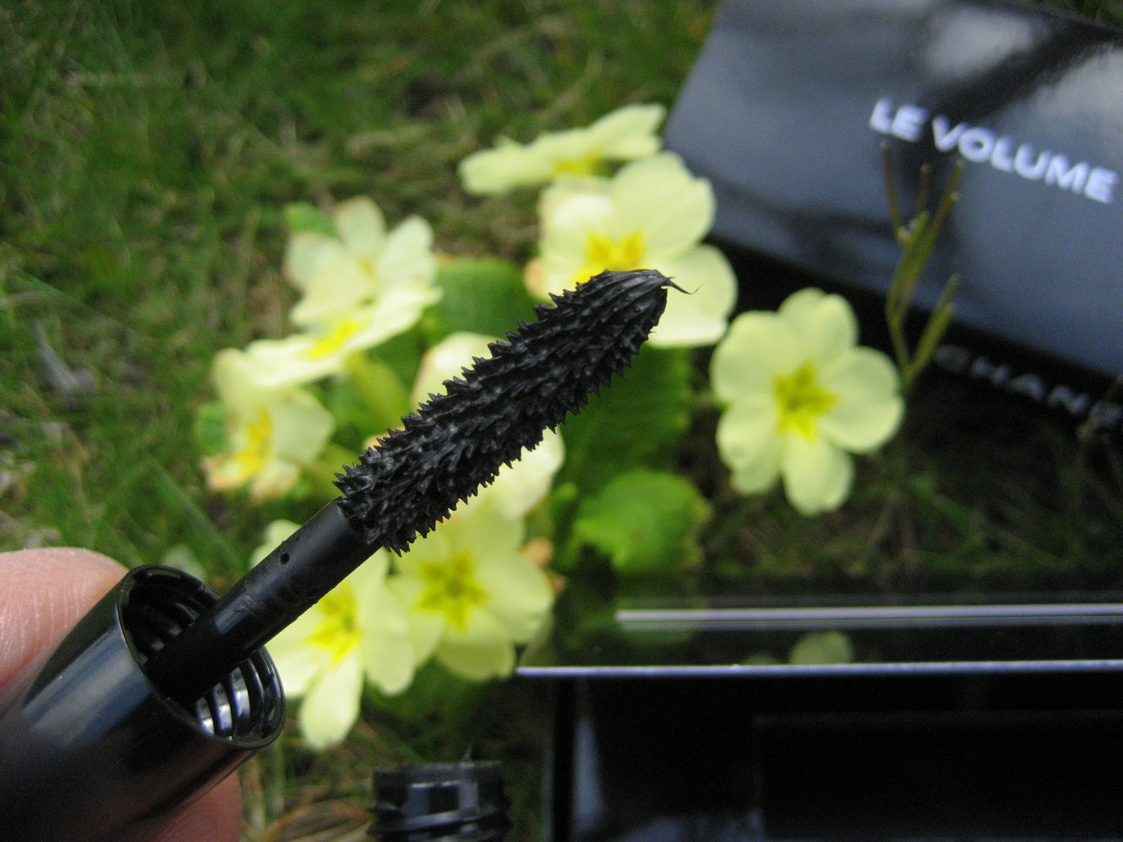 Le Boudoir de Sparkling Fairy Test du Mascara "le Volume" de Chanel sur cils courts et peu