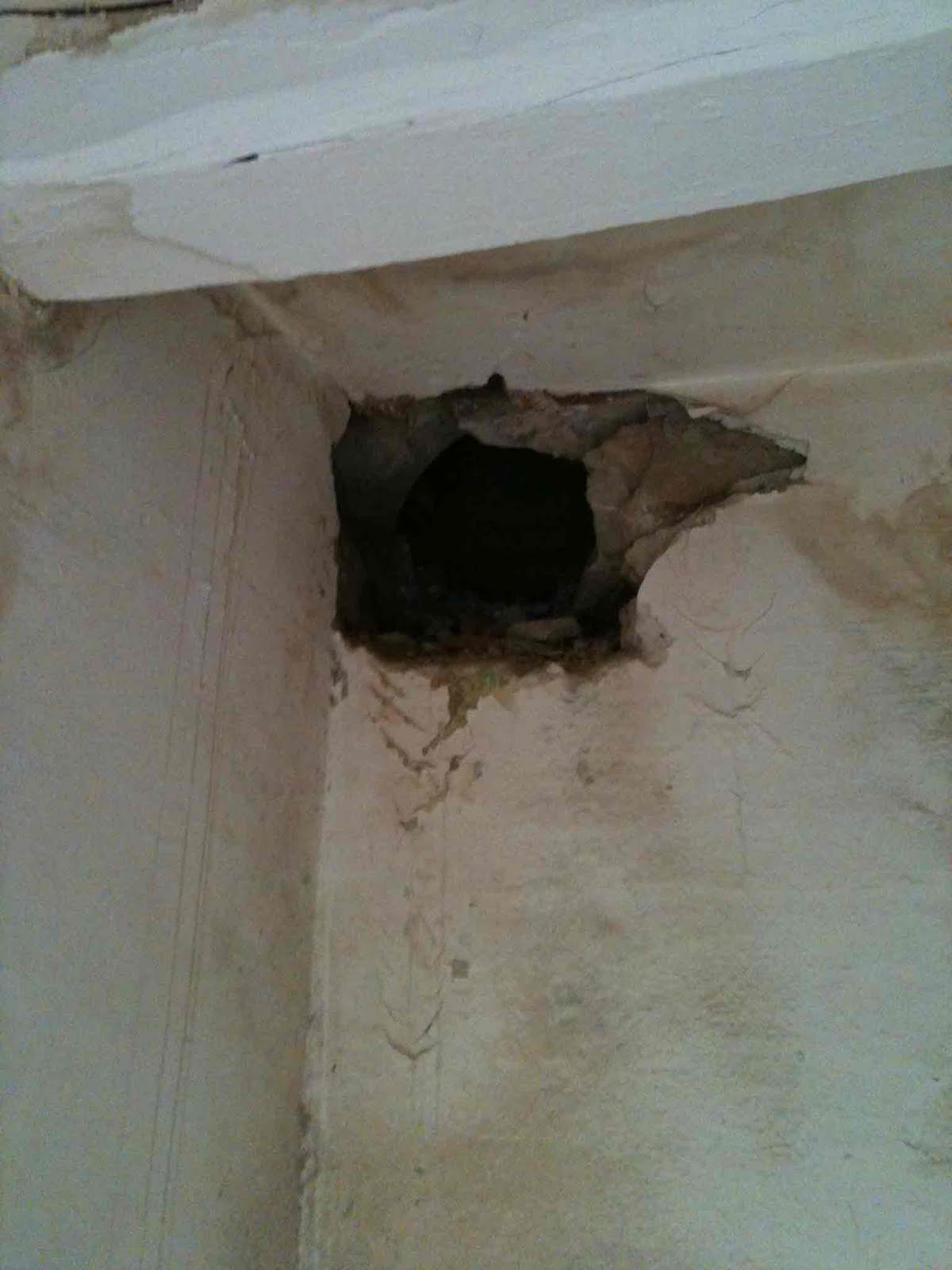 a fines de semana...": marzo 2011