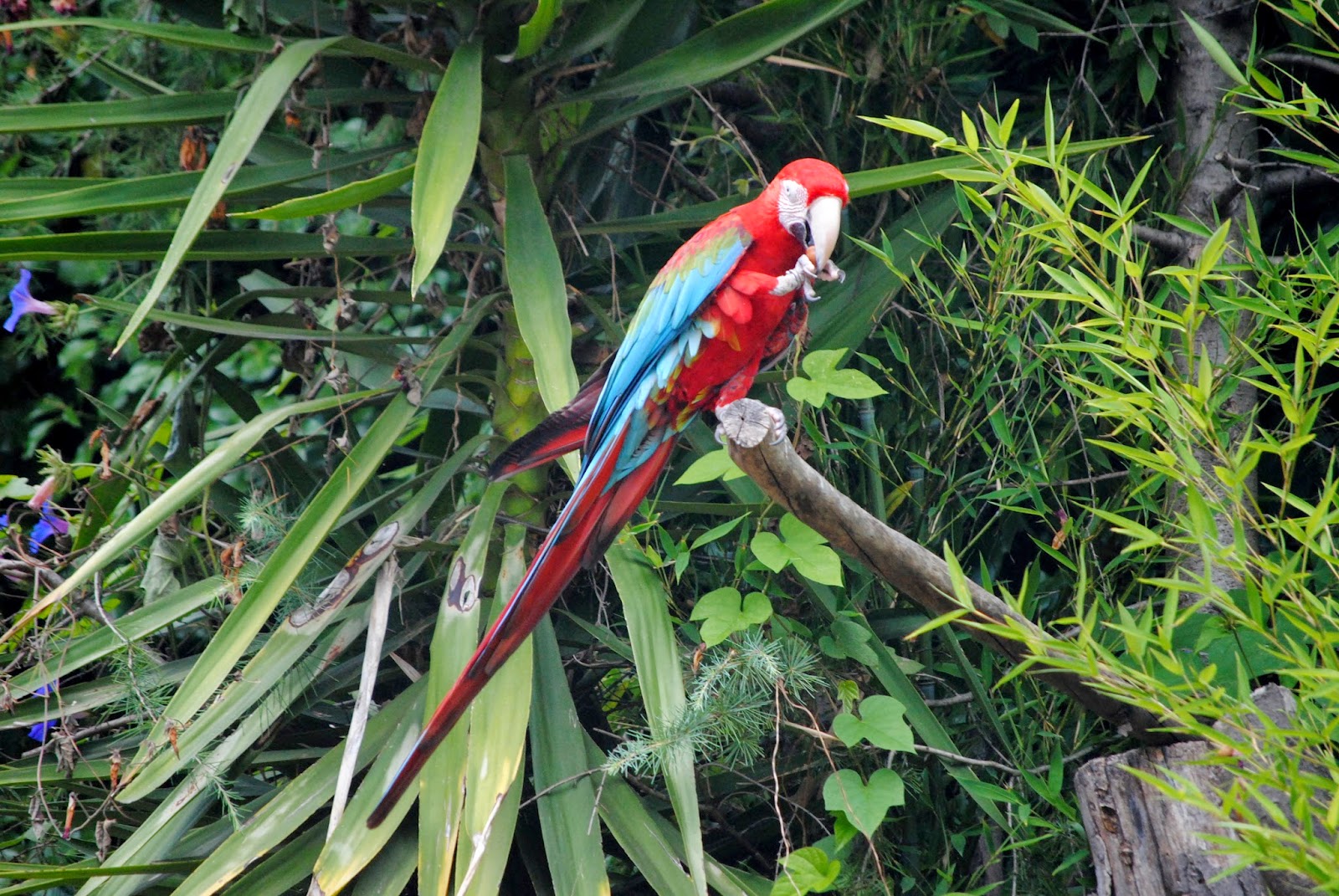 Presente & Passado Uma visita diferente ao Jardim Zoológico de Lisboa