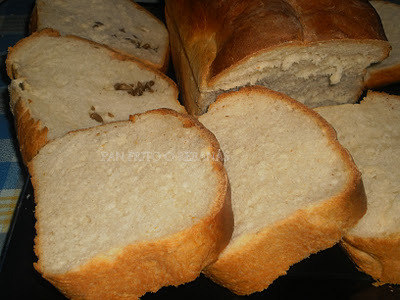  PAN DE MOLDE 