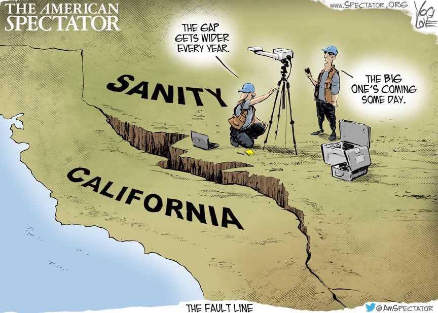 From the Barrel of a Gun: That Insanity is Contagious...