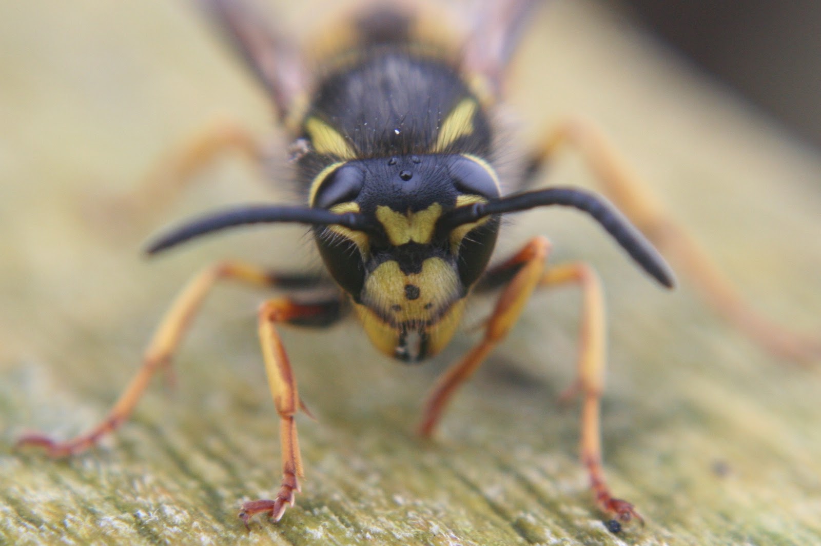 Valley Naturalist: Where's the water gone?