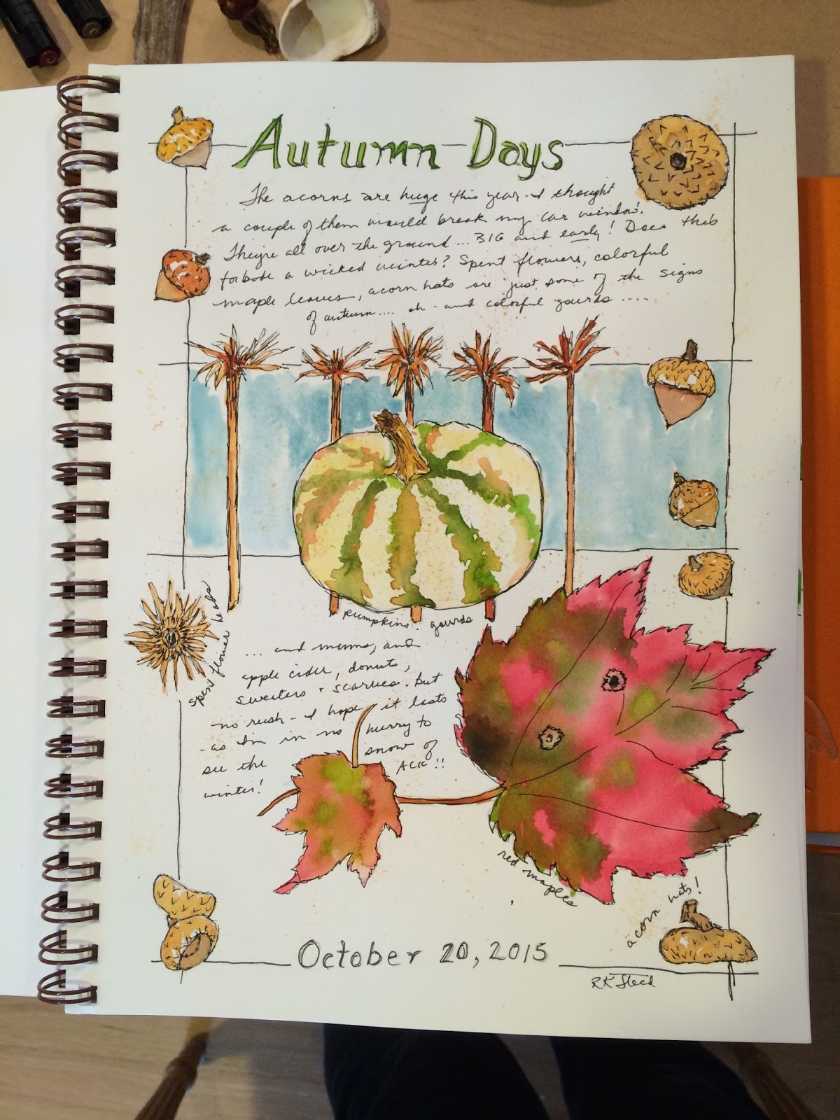Roxanne Steed's Painting a Day Nature Sketchbook Journaling class CT