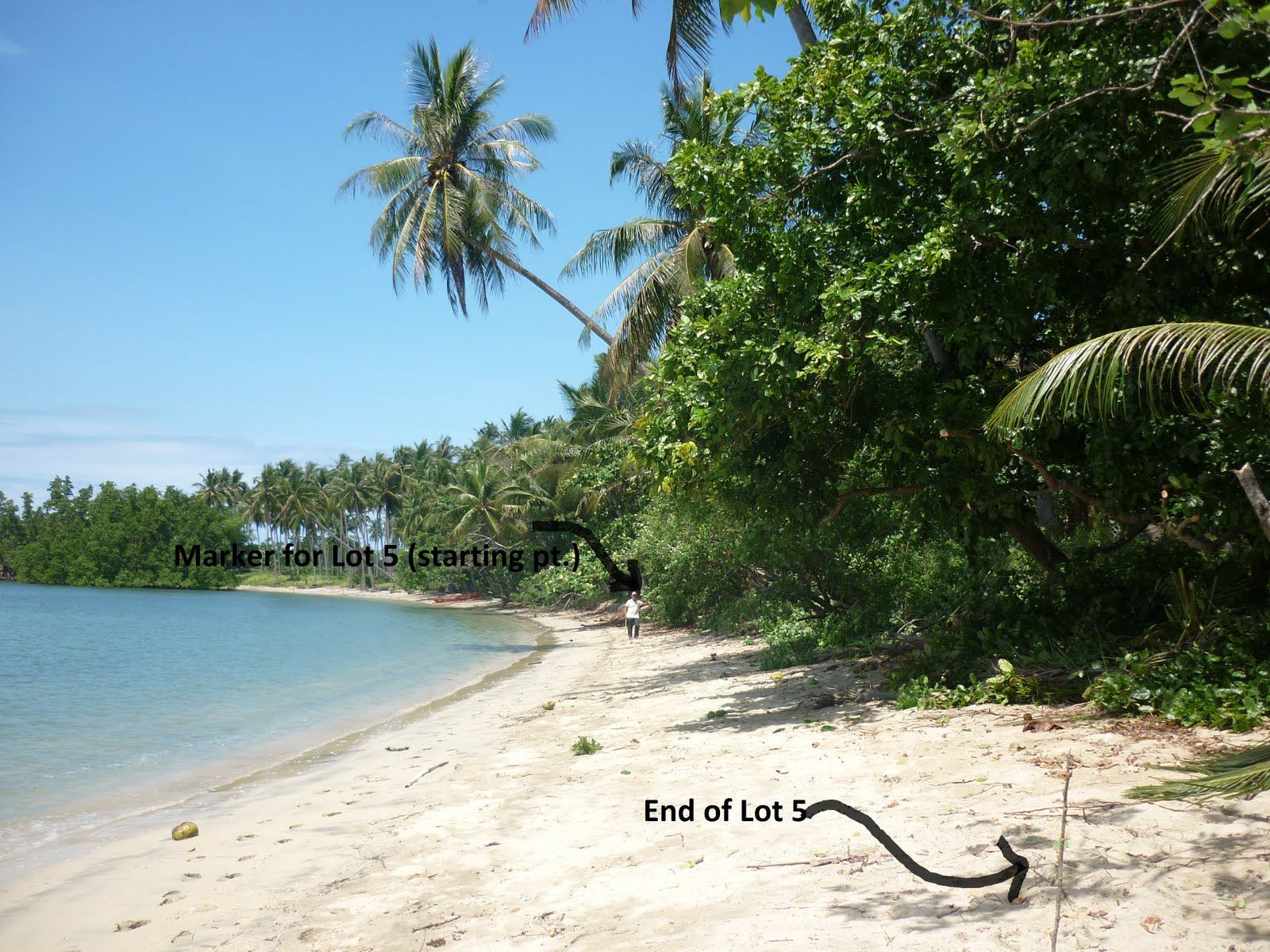 Traveller's Catalogue Amazing Beach Lot in Panacan, Narra, Palawan FOR