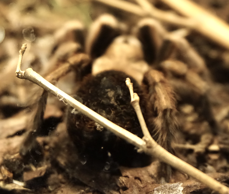 Was Kostet Die Welt March 2015