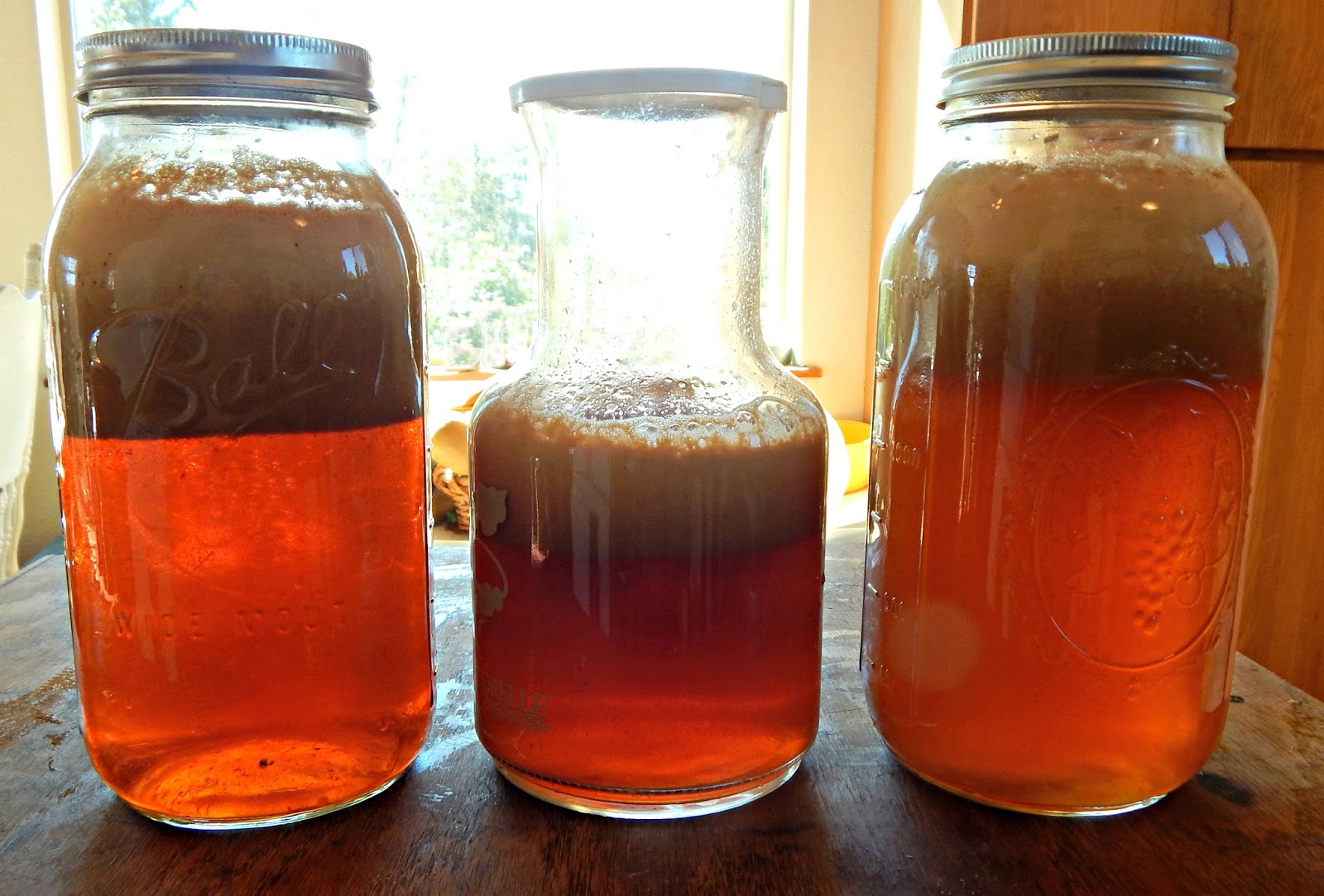 How to Make Apple Cider With an Electric Juicer Proverbs 31 Homestead