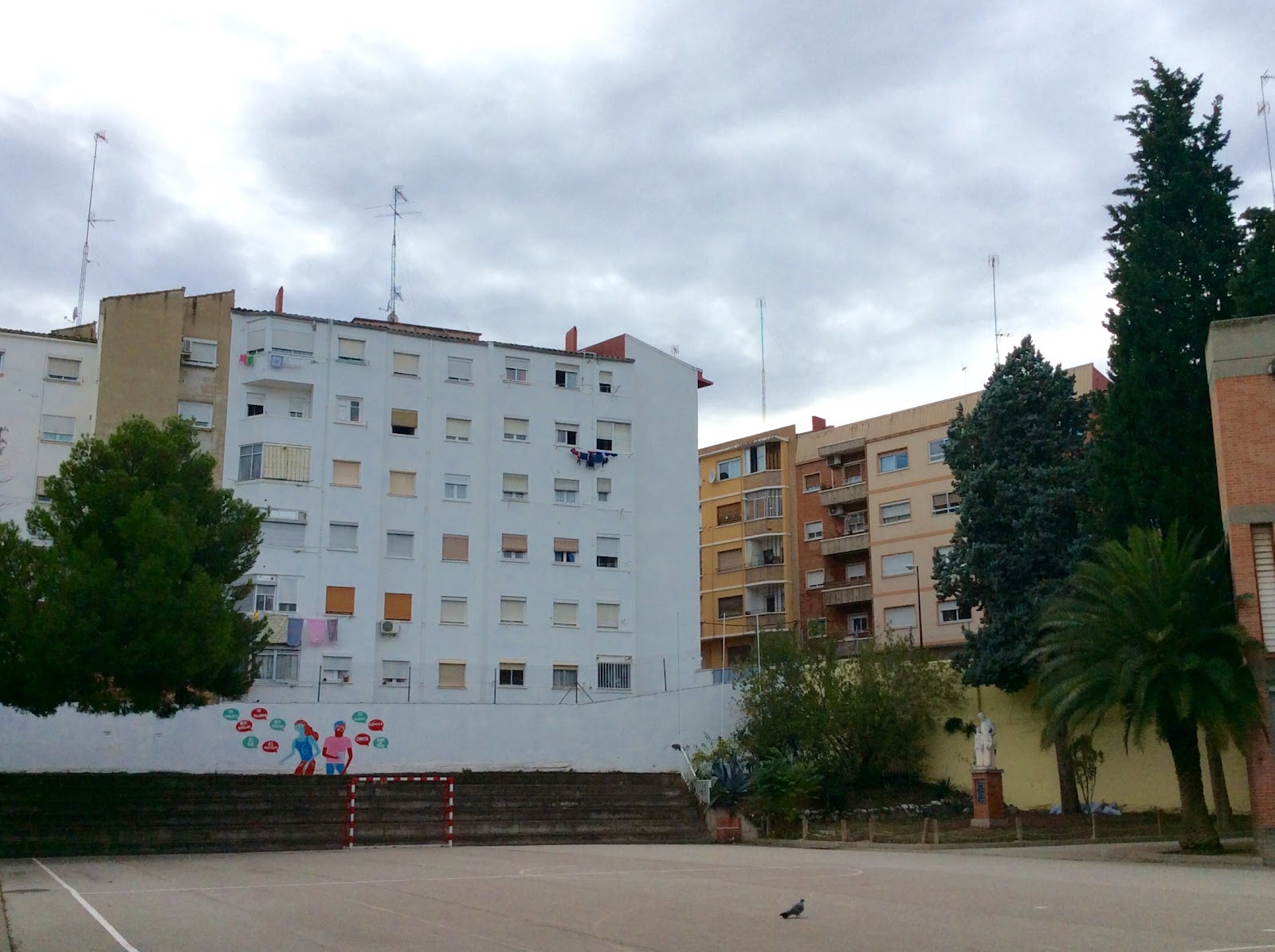 MAin Zaragoza: LOS ÁRBOLES DEL PATIO