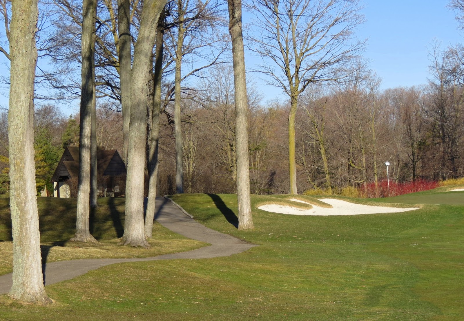 Travels With Birds Birding at Westmount Golf and Country Club