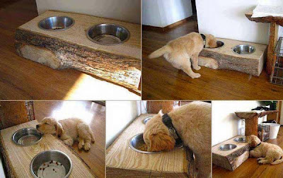 Un mueble con tronco para poner los platos de tus mascotas. 