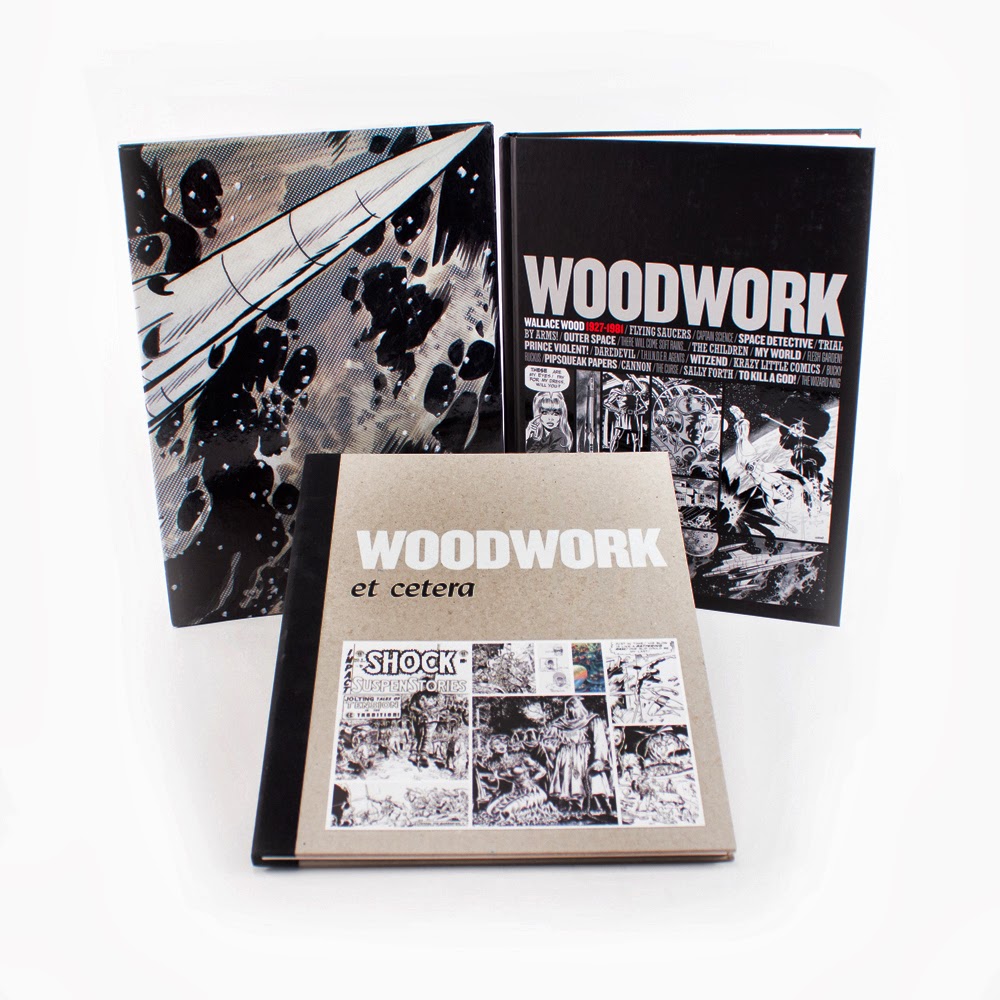 wood woodwork books