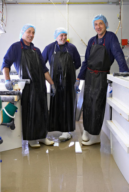 salt harvesters keith, gareth and john at the brynsiencyn factory