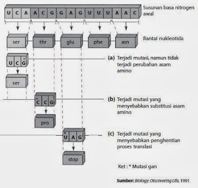 Peta silsilah (pedigree) dibuat untuk mengetahui pewarisan penyakit pada anggota keluarganya. Peta silsilah (pedigree) dibuat untuk mengetahui pewarisan penyakit pada anggota keluarganya.