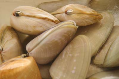 Weighty matters: Learning