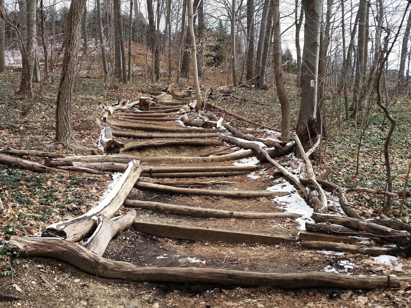 A Mike Who Likes to Hike