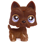 Littlest Pet Shop Special Scottie (#No #) Pet Littlest Pet Shop Special Scottie (#No #) Pet