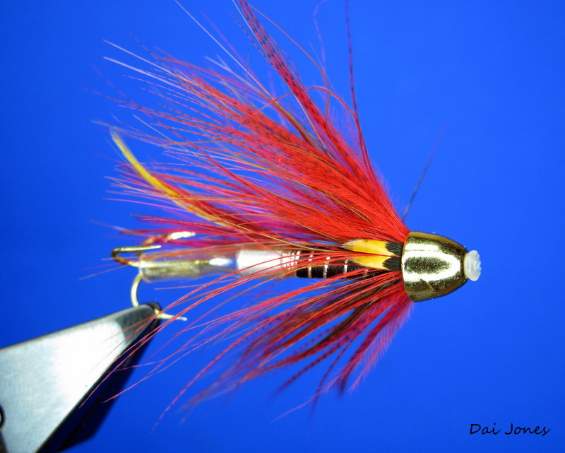 daijones flies: Elvers and toucans