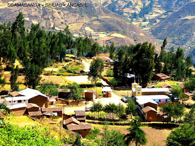 Usamasanga