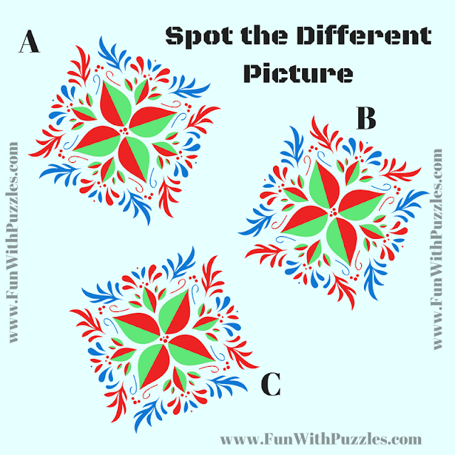 Observation Power Test: Odd One Out Picture Puzzle
