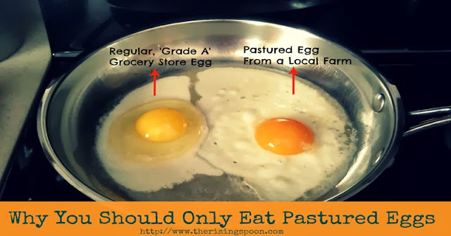 Why You Should Only Eat Pastured Eggs | www.therisingspoon.com