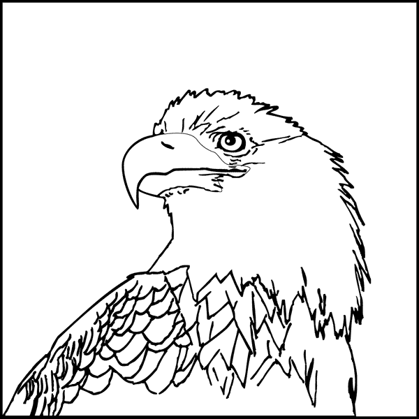 eagle coloring pages images - photo #40