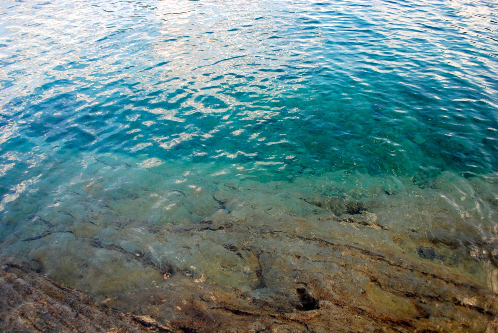 Wanderlust Traveler: Olympic National Park/Olympic Peninsula Wanderlust Traveler: Olympic National Park/Olympic Peninsula