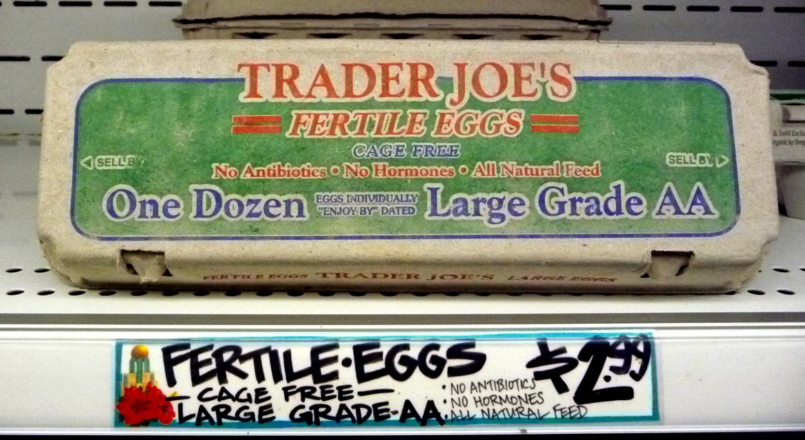 The 99 Cent Chef Trader Joe's Curried White Chicken Deli Salad Recipe