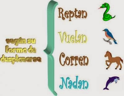 ¿Como se desplazan los animales?
