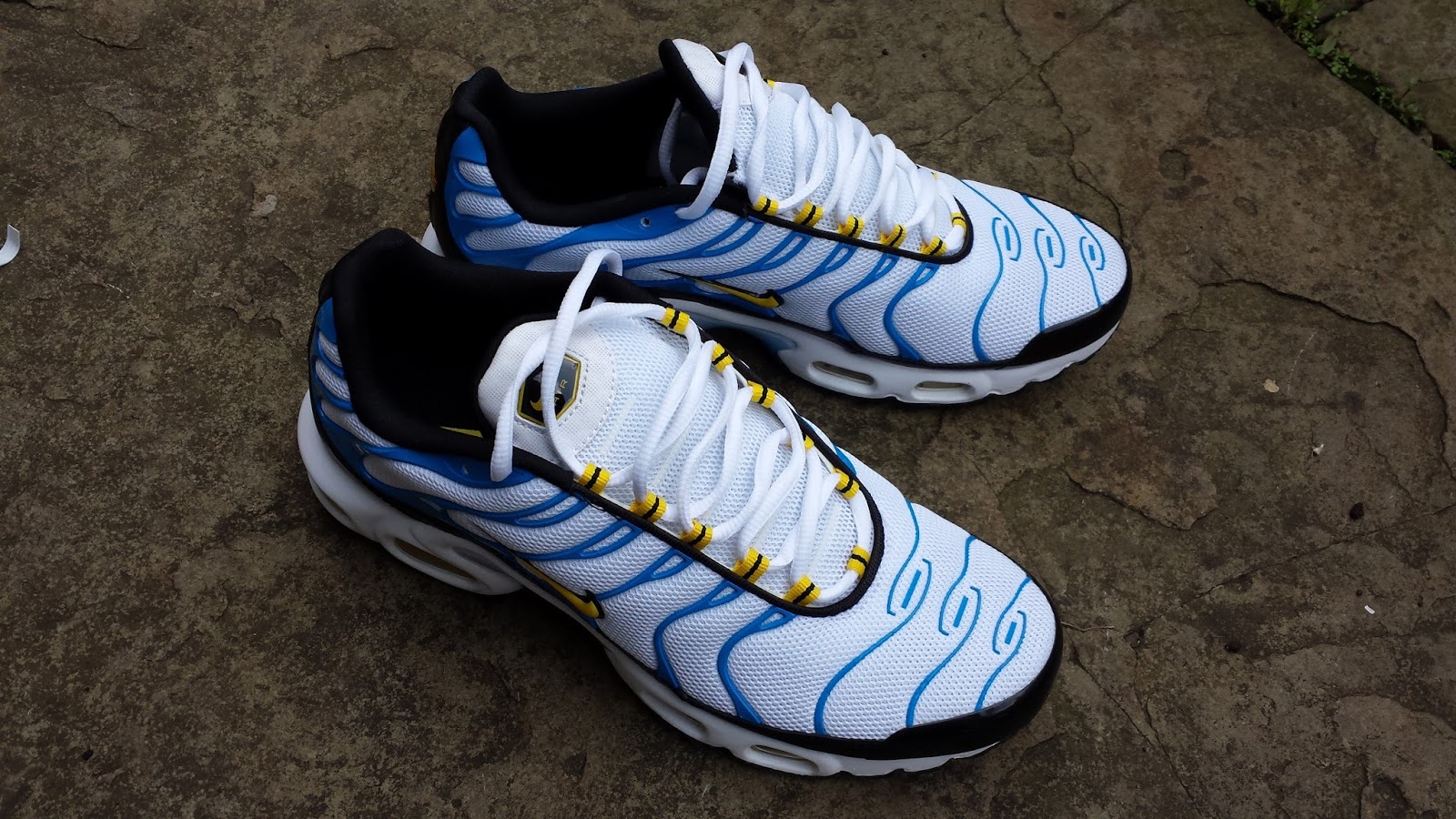 blue and yellow tns