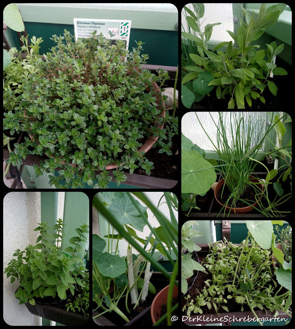 Der Kleine Schrebergarten