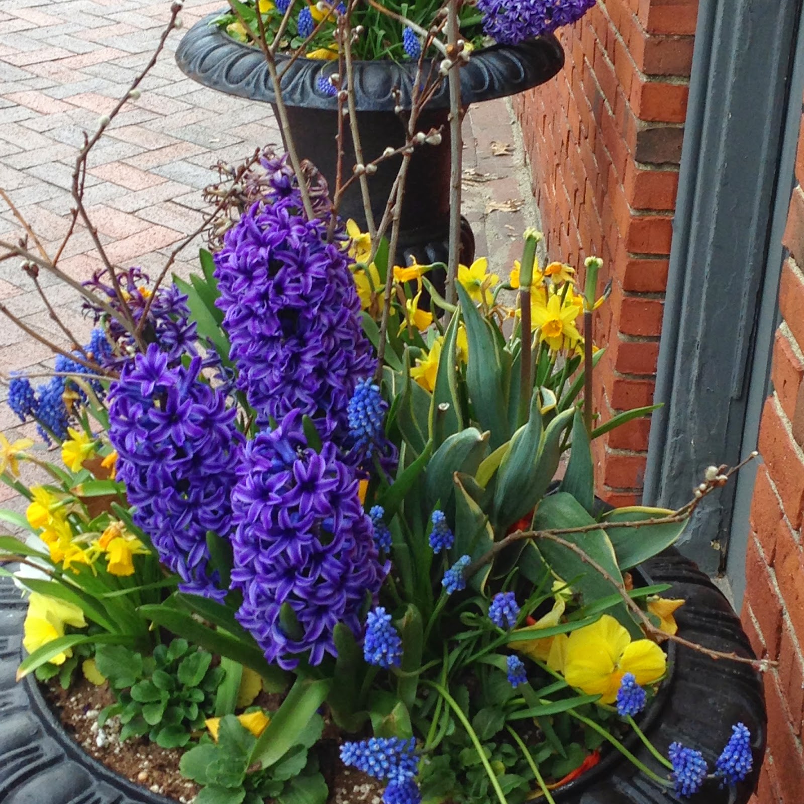 DesignsandEvents Window Boxes of Newburyport
