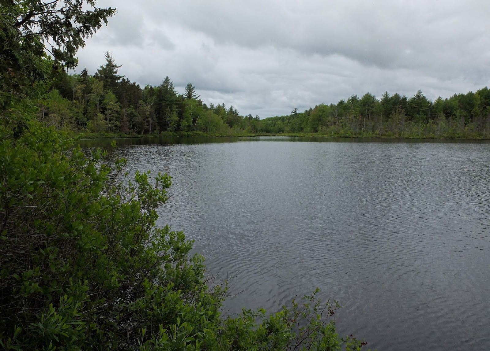Hiking in Maine with Kelley 6/4/15 Northern Pond