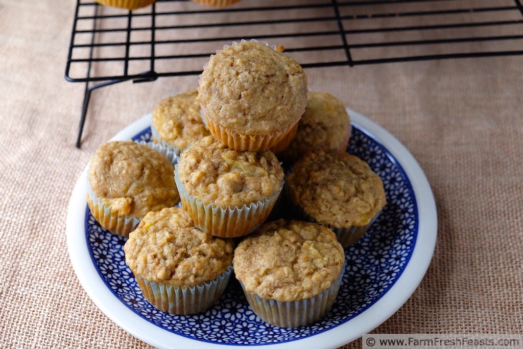 http://www.farmfreshfeasts.com/2015/01/winter-squash-banana-muffins-monday.html