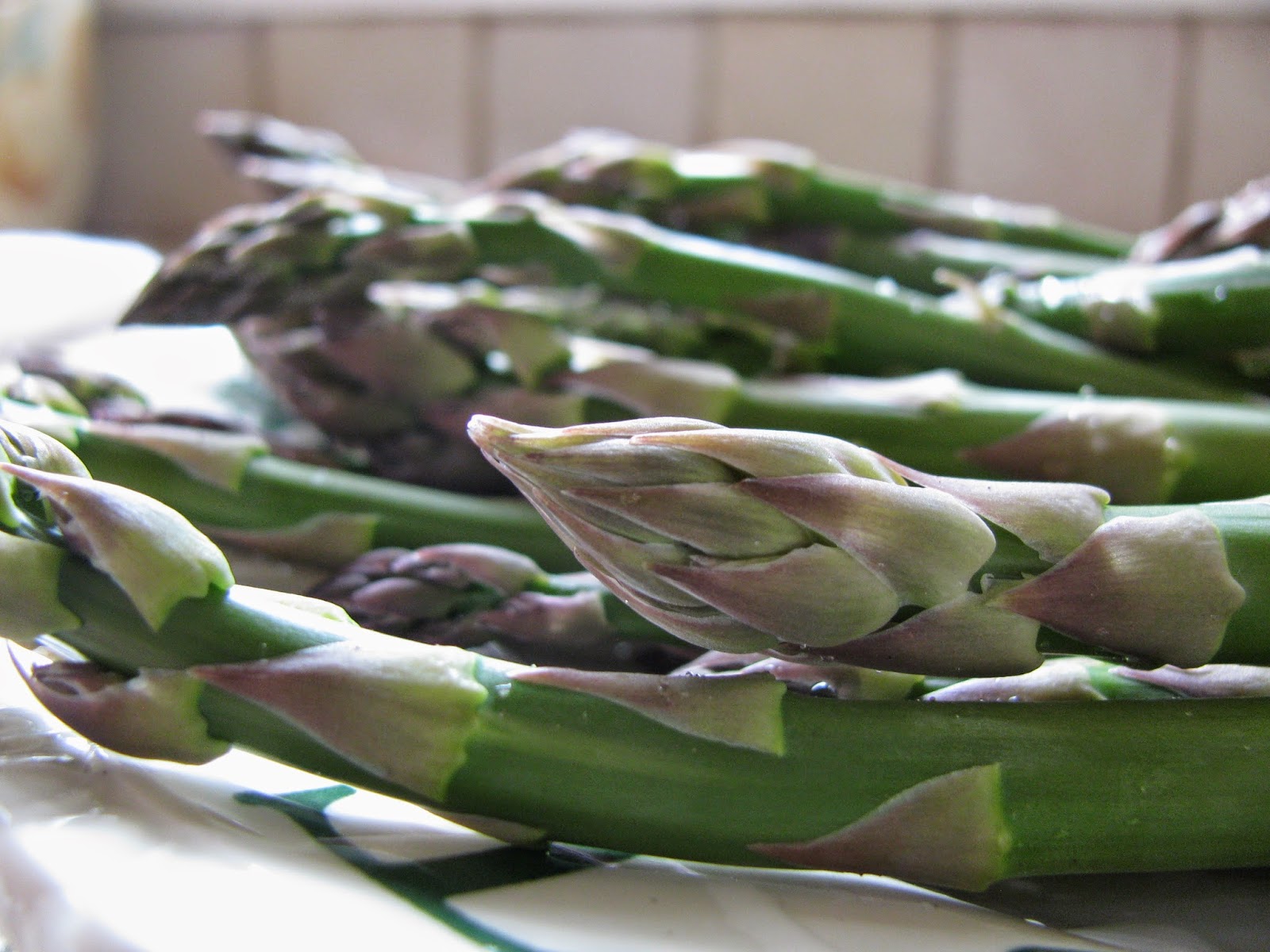 Gardeningbren in Nova Scotia What's Growing? Asparagus!