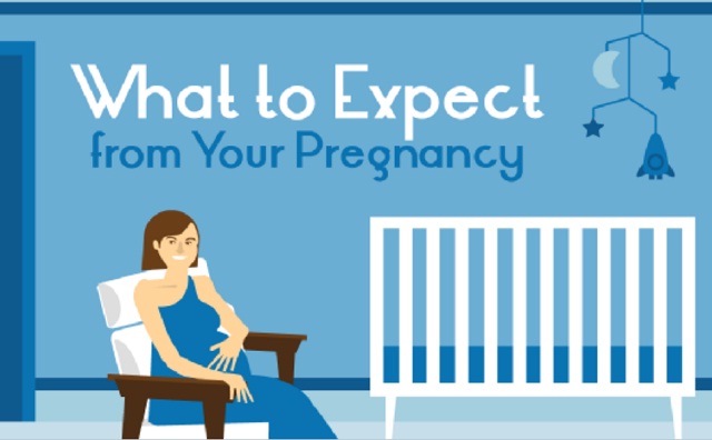 Image: What to Expect from Your Pregnancy [Infographic]