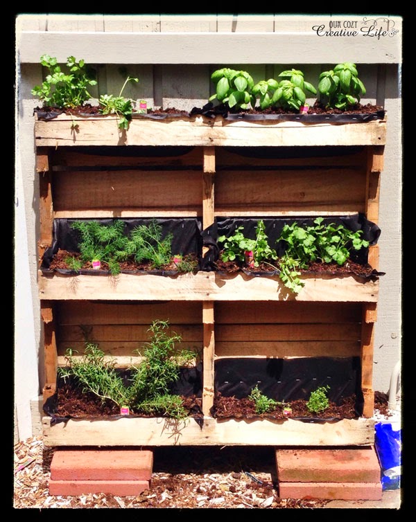 Our Cozy Creative Life: Vertical Herb Garden