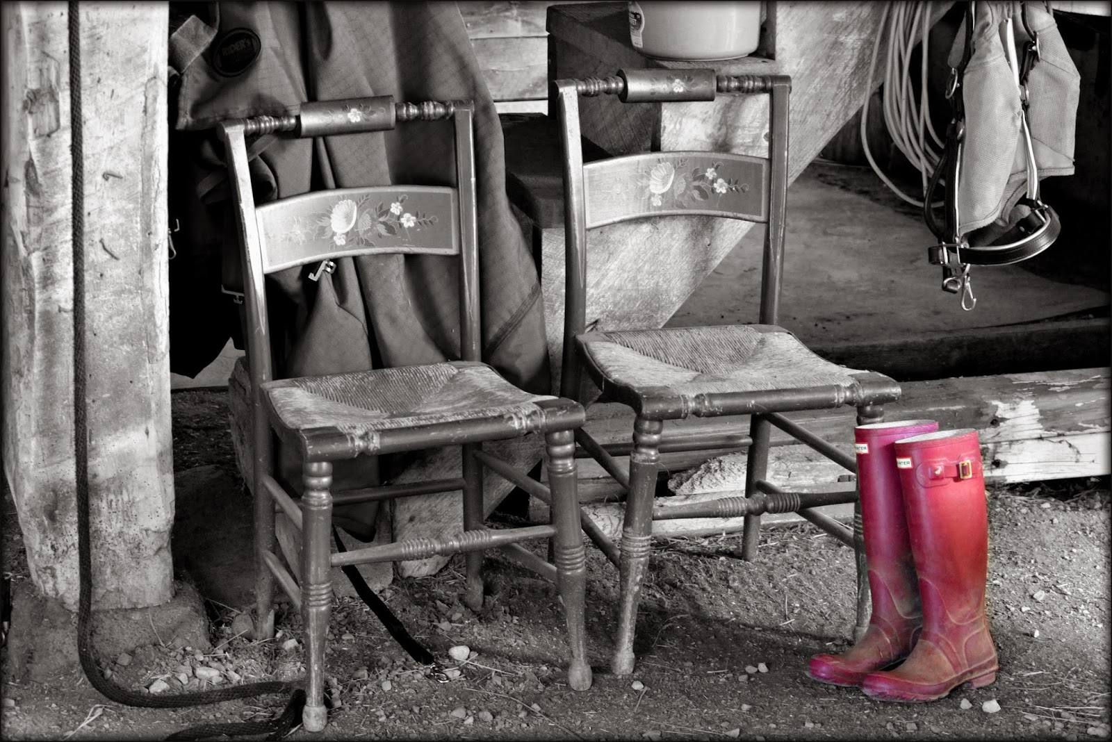 Through Carol's Lens Black and White Challenge on Facebook