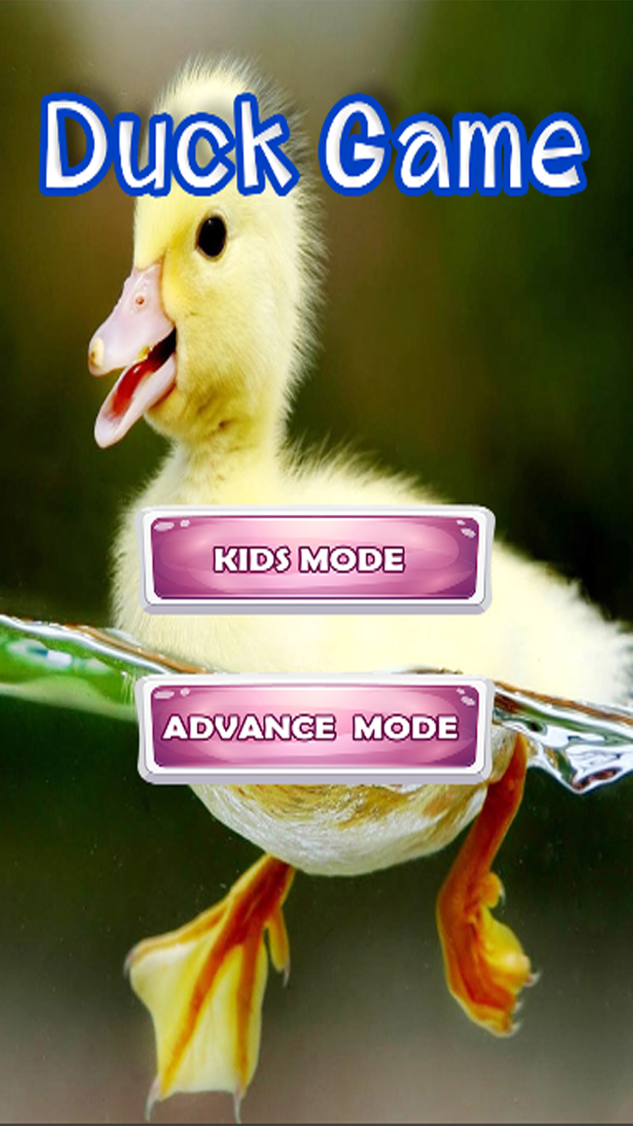 Duck Jigsaw Puzzles Games For Kids Education