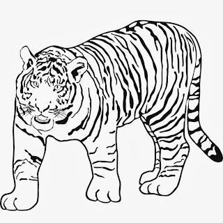 TIGER MALVORLAGEN