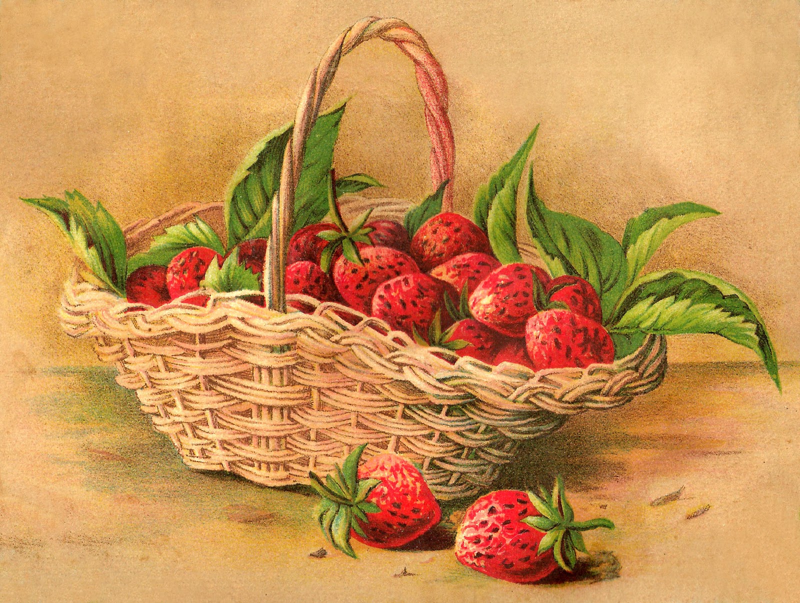 Antique Images Botanical Art Digital Strawberry Basket Download Fruit