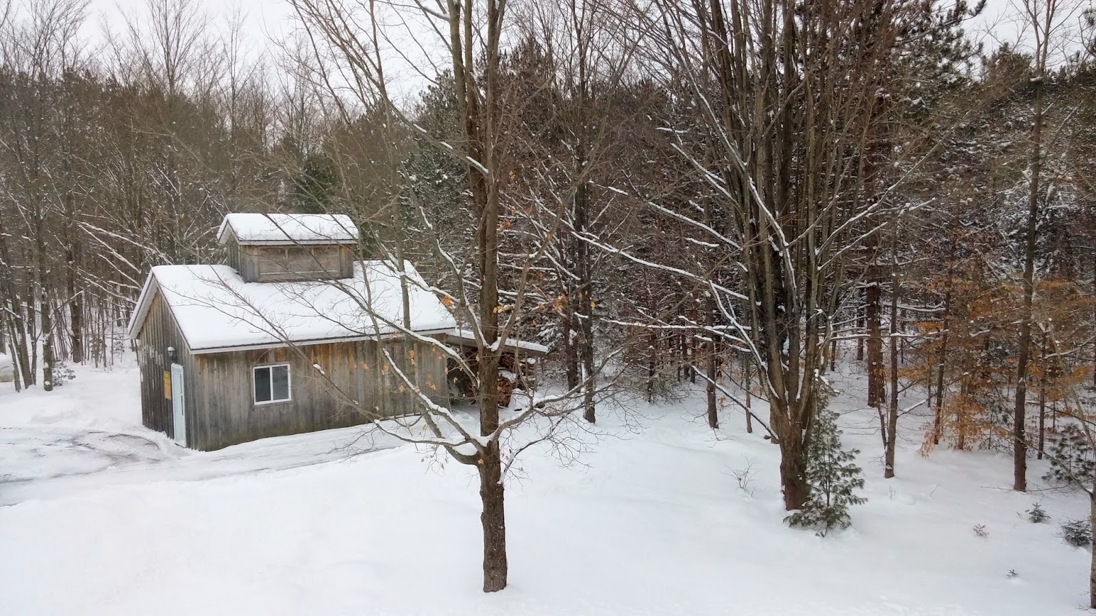 Forks in the Trail Bed and Breakfast Toronto Teacher Mom